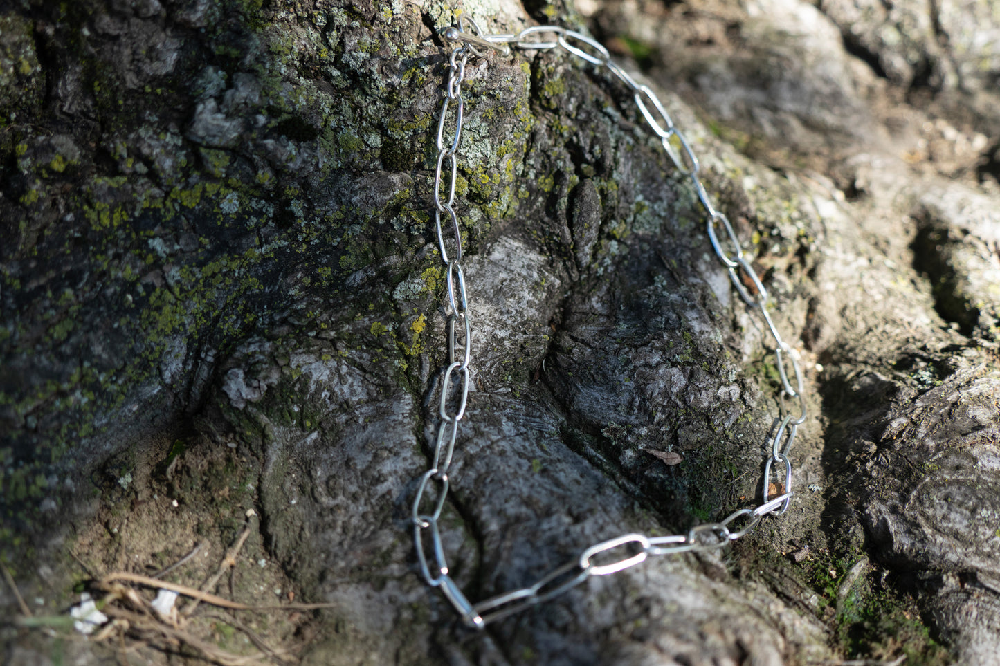 Paper Clip Necklace