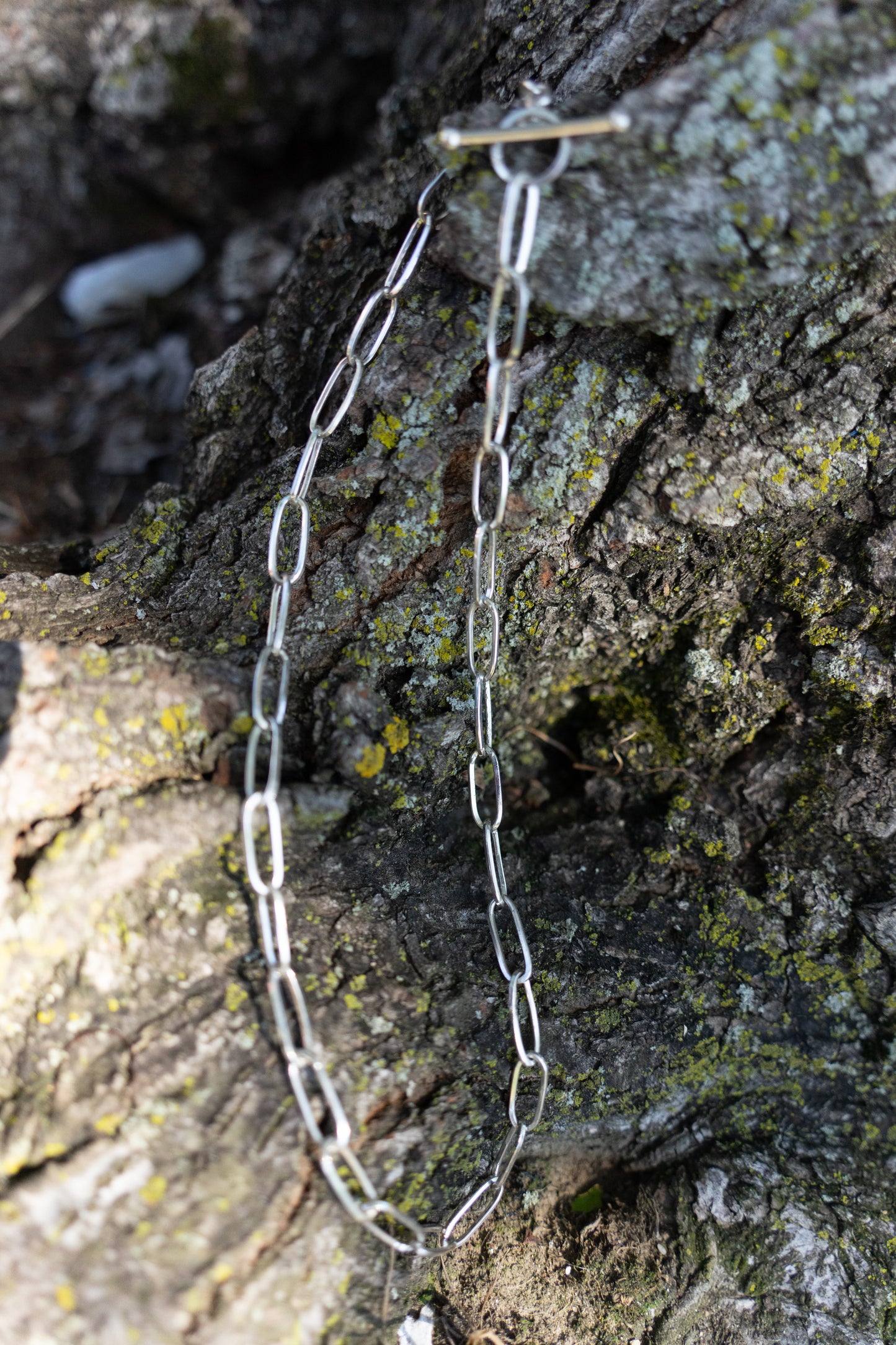 Paper Clip Necklace