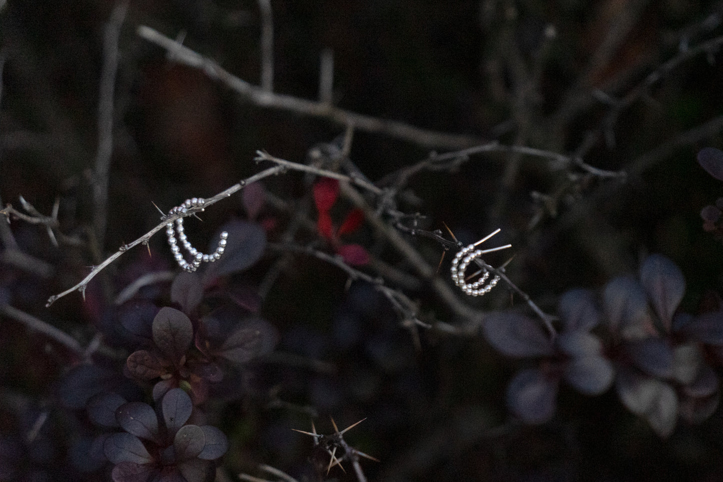 Small and large silver earrings