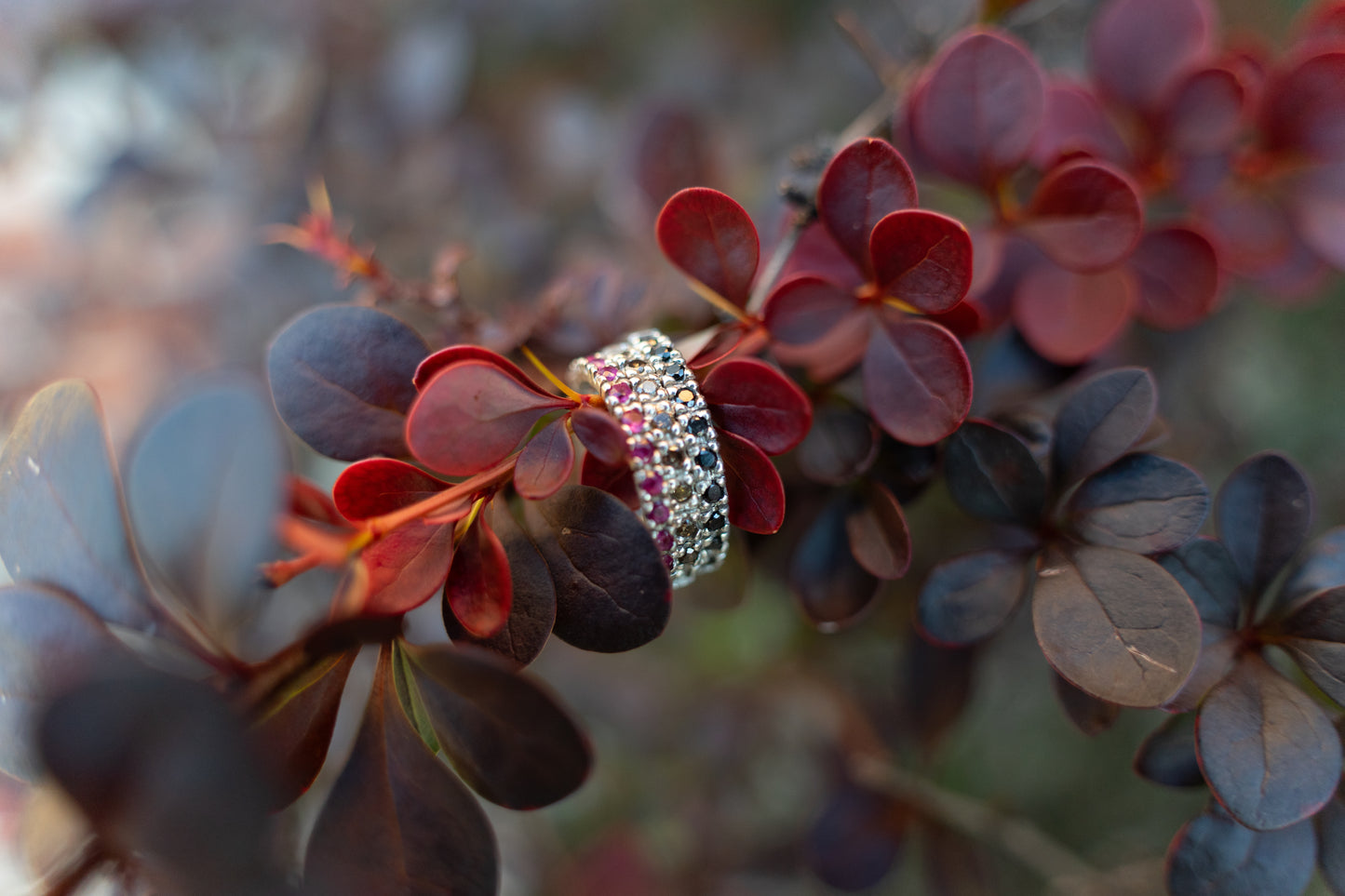 Example pave rings in sterling silver and Argentium silver