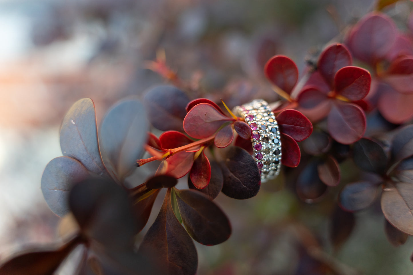 Anillo pavé de circón